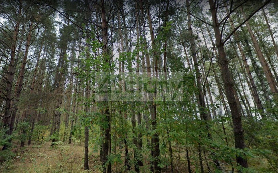 Działka budowlana Ojrzanów. Zdjęcie 2