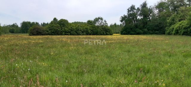 Działka budowlana Piskornia, Powiatowa. Zdjęcie 5