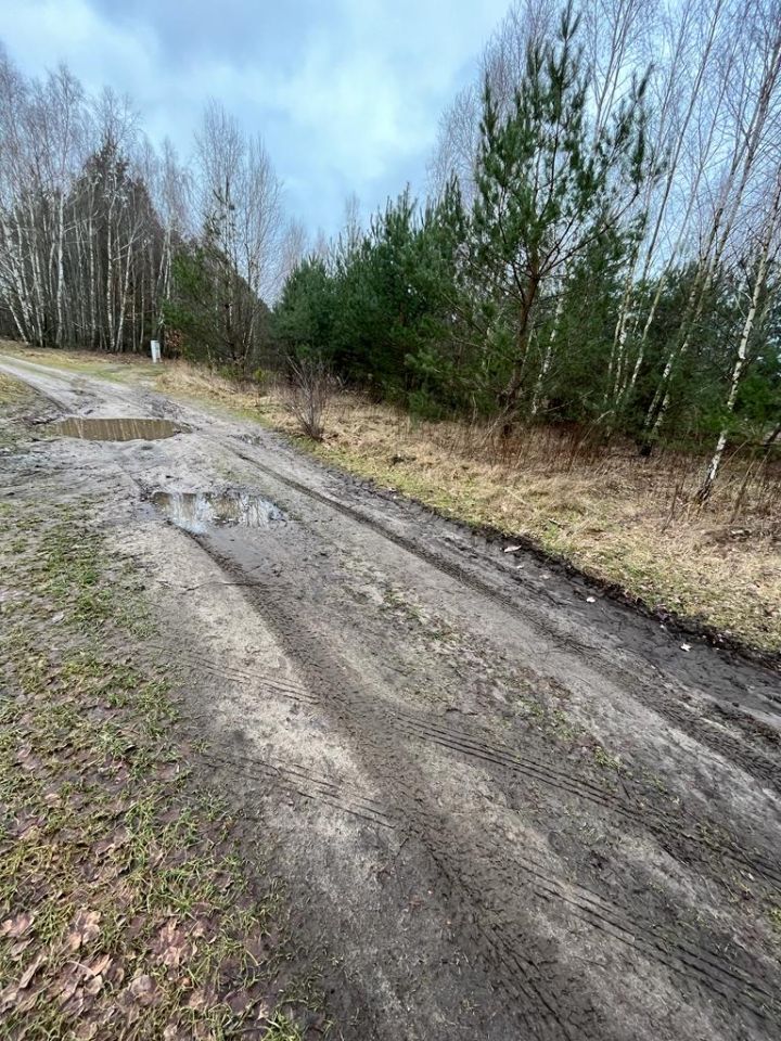 Działka rolno-budowlana Ciosny Ciosny-Sady. Zdjęcie 5