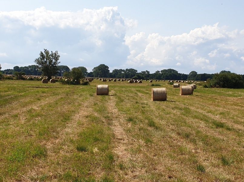 gospodarstwo Darzowice. Zdjęcie 3