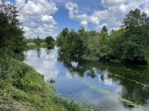 Działka leśna Popielżyn-Zawady. Zdjęcie 2