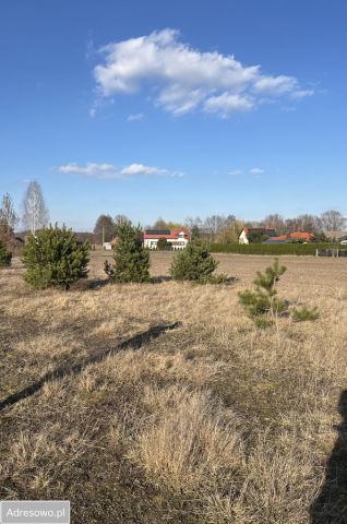 Działka rolno-budowlana Wólka Wojsławska. Zdjęcie 1