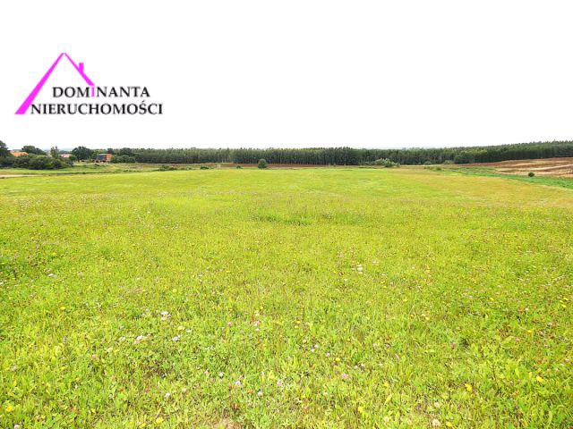 Działka rolna Gronowo. Zdjęcie 4