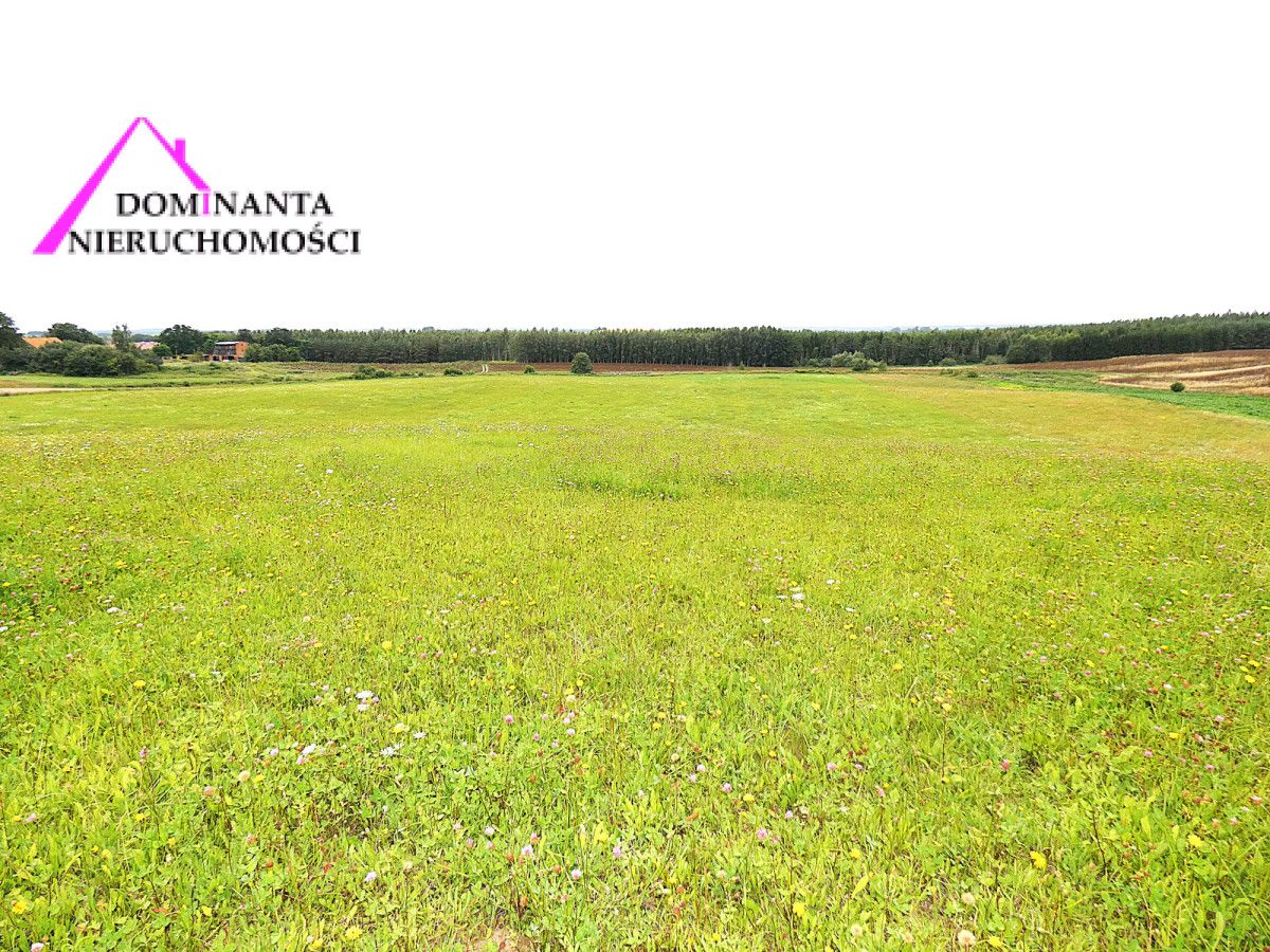 Działka rolna Gronowo. Zdjęcie 4