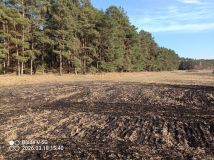 Działka rekreacyjna Małe Pułkowo. Zdjęcie 4