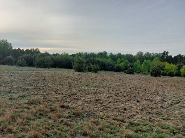 Działka rolna Kalonka. Zdjęcie 1