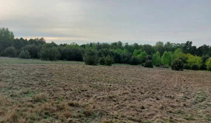 Działka rolna Kalonka