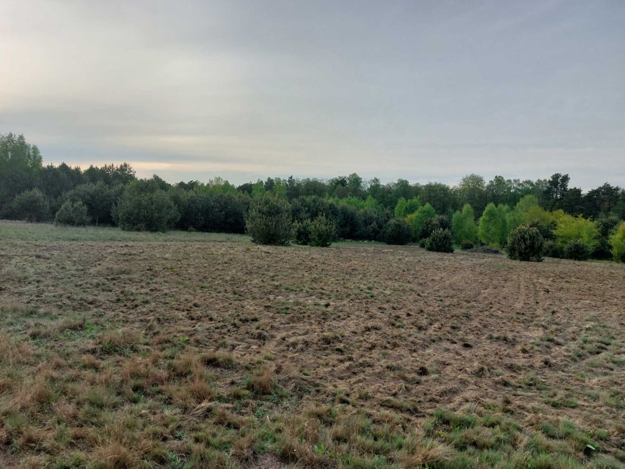 Działka rolna Kalonka