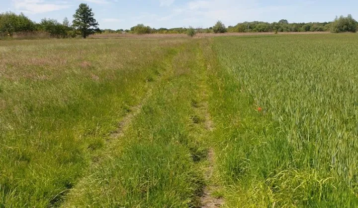 Działka rolno-budowlana Ostrów Wielkopolski