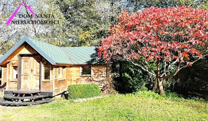 Działka rekreacyjna Śliwice Kocknieja, ul. Sosnowa