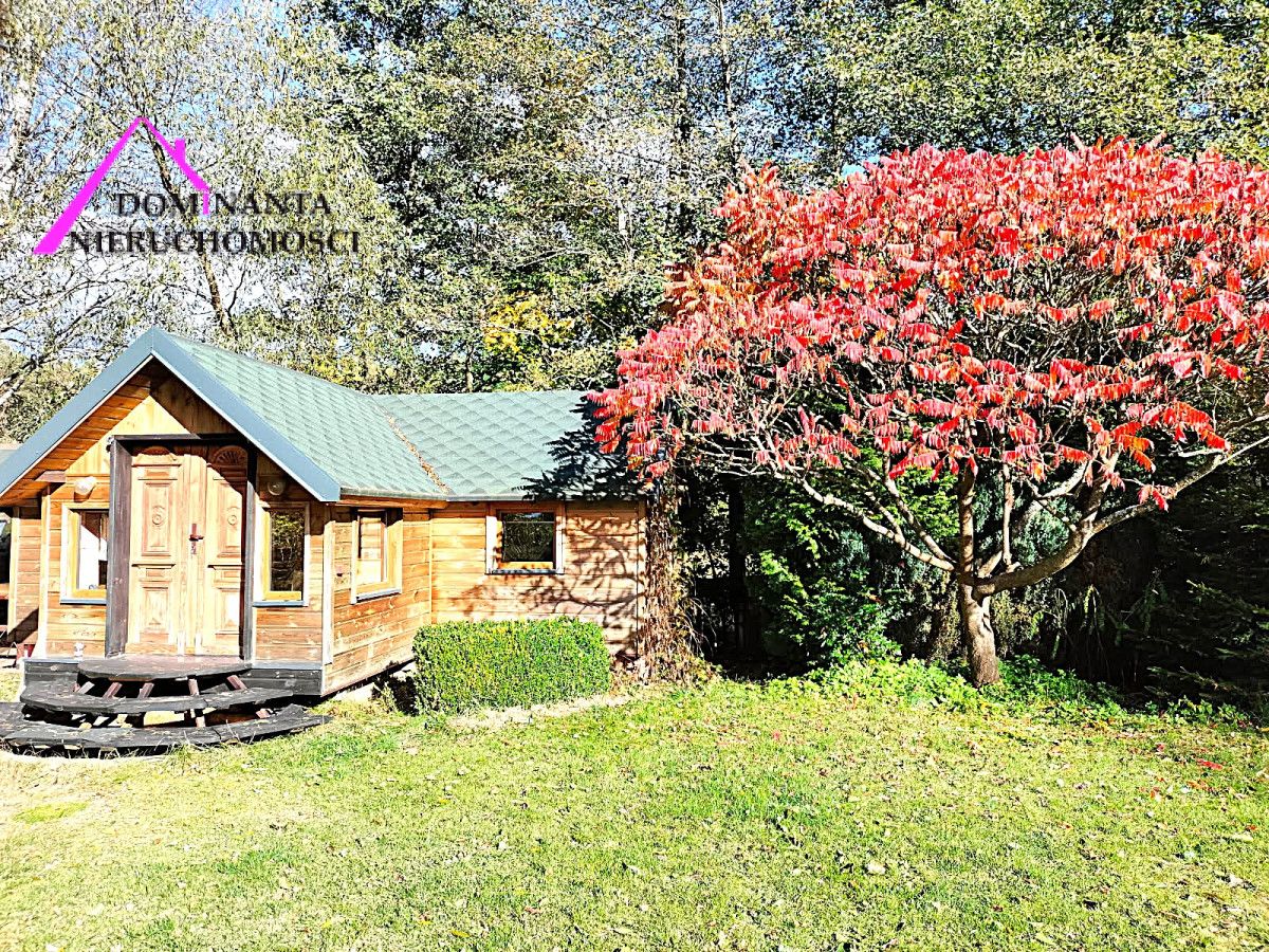 Działka rekreacyjna Śliwice Kocknieja, ul. Sosnowa