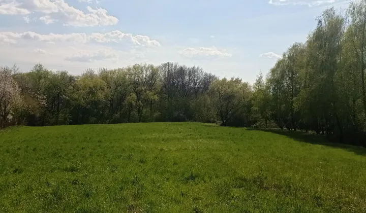Działka rolno-budowlana Zgłobice Nad Dunajcem, ul. Kręta
