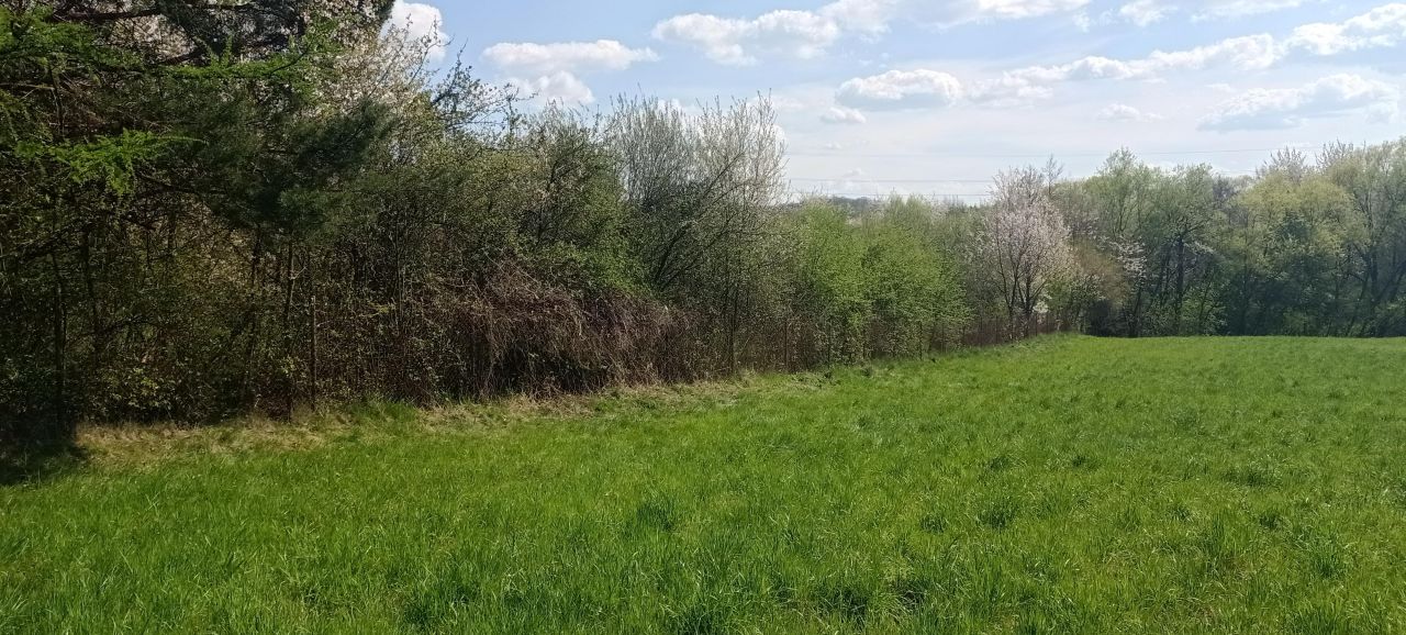 Działka rolno-budowlana Zgłobice Nad Dunajcem, ul. Kręta. Zdjęcie 2