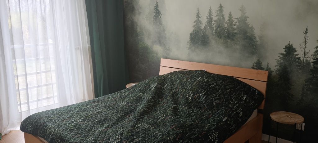 dom szeregowy Knurów. Zdjęcie 7