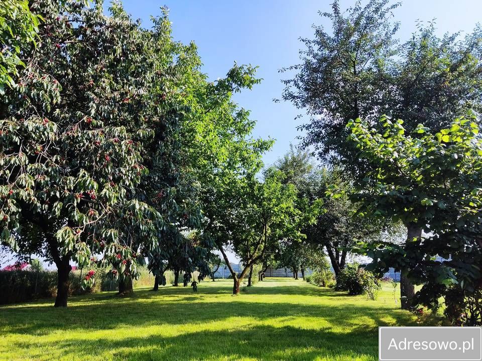 dom wolnostojący, 7 pokoi Głusiec. Zdjęcie 6