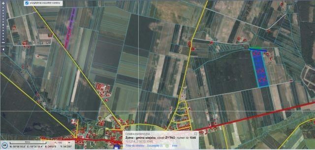 Działka leśna Żytno, ul. Konopnickiej