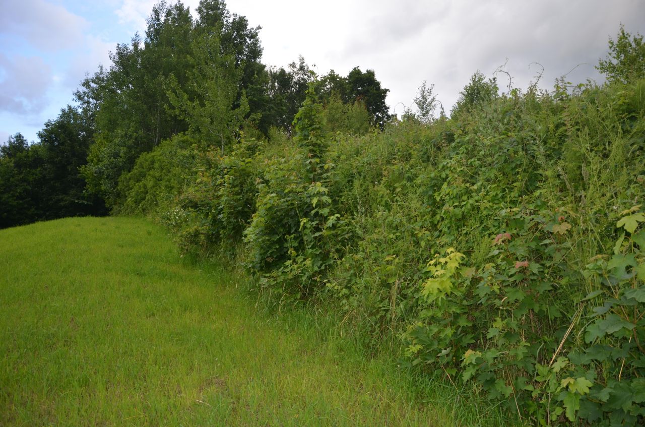 Działka budowlana Bronkowice Górna Wieś. Zdjęcie 2