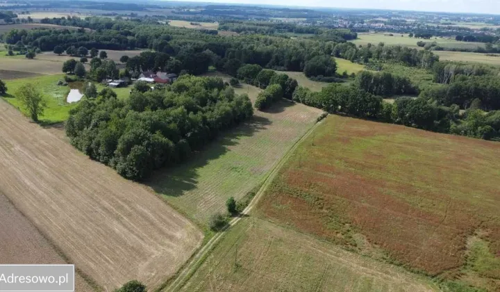 Działka rolna Śmilcz