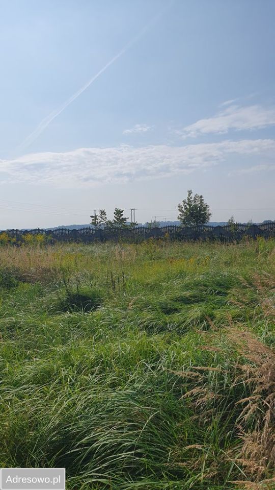 Działka inwestycyjna Raciborowice, ul. Kanonicza. Zdjęcie 5