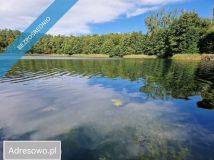 Działka rekreacyjna Lubasz Sławienko