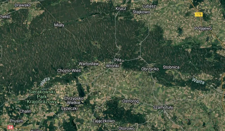 Lokal Wronki, ul. Mickiewicza