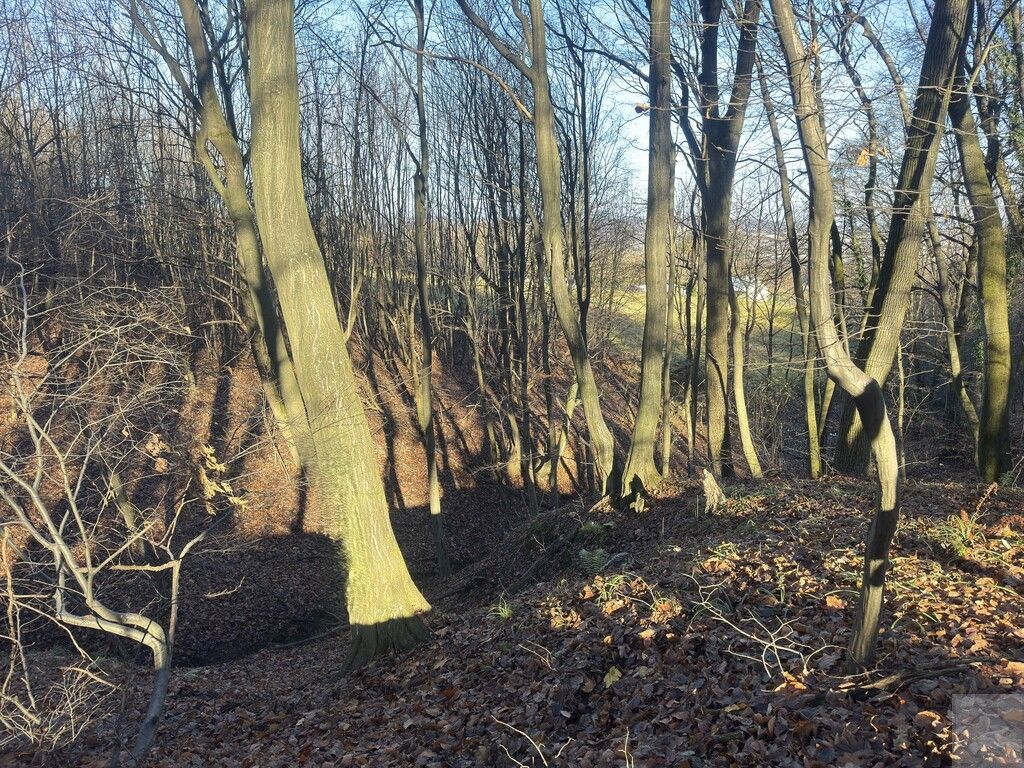 Działka leśna Przemyśl Kruhel Wielki, ul. Łowiecka. Zdjęcie 5