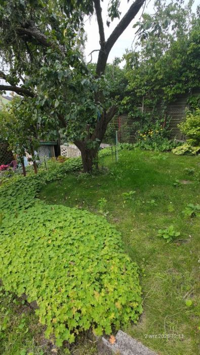 Mieszkanie 4-pokojowe Gdańsk Siedlce, ul. Zakopiańska. Zdjęcie 2