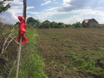 Działka rolno-budowlana Bezrzecze, Malinowa. Zdjęcie 3