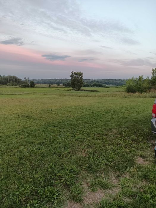Działka budowlana Studzianki. Zdjęcie 2