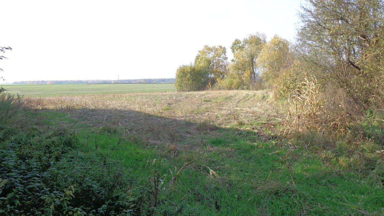 Działka rolno-budowlana Teremiec. Zdjęcie 8