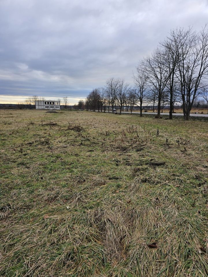 Działka inwestycyjna Zalesie. Zdjęcie 6