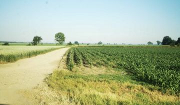 Działka siedliskowa Krzyżowice Wierzbica, ul. Malinowa