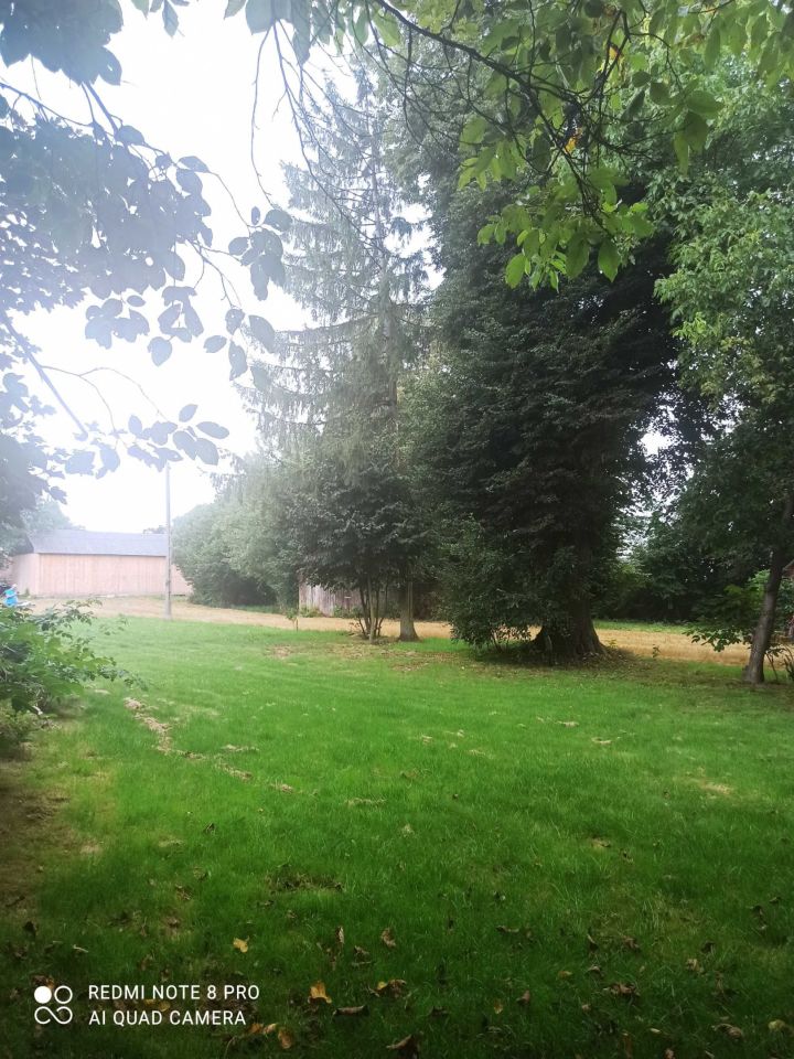 Działka siedliskowa Piotrków Drugi. Zdjęcie 8