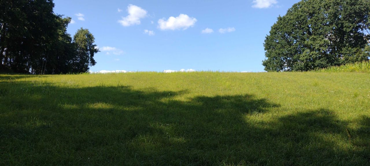 Działka rolno-budowlana Radzynek. Zdjęcie 2