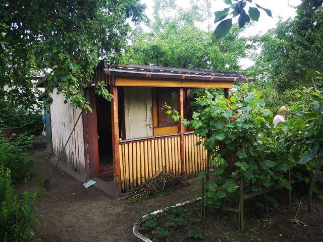 Działka rod Szczecin Świerczewo, ul. Tenisowa. Zdjęcie 1