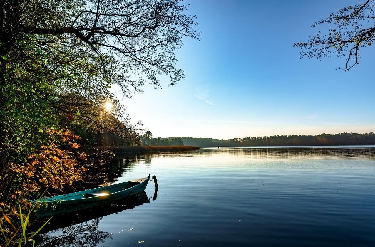 Działka rolna Elganowo. Zdjęcie 2