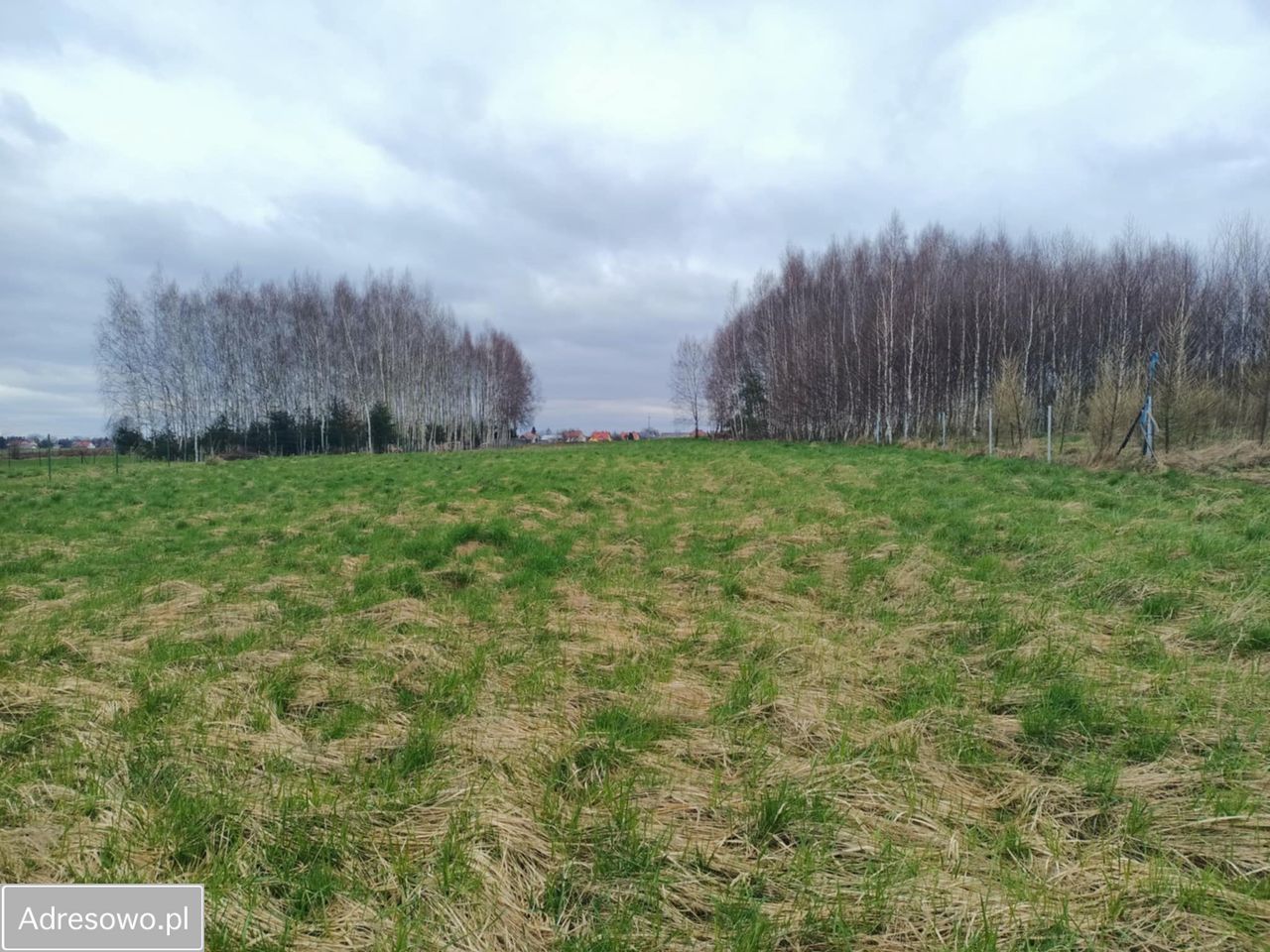 Działka budowlana Sędziszów Małopolski, ul. Księżomost. Zdjęcie 4