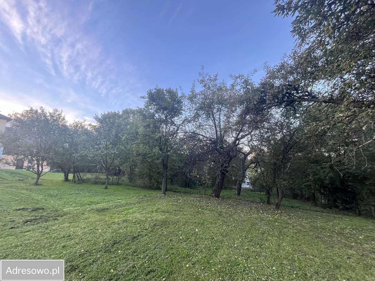 dom wolnostojący, 7 pokoi Radziechowy, ul. Michalskich. Zdjęcie 4