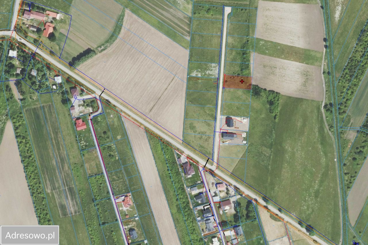 Działka budowlana Babicha. Zdjęcie 2