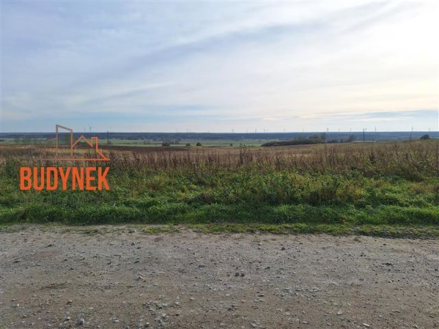 Działka rolna Kopnica. Zdjęcie 6