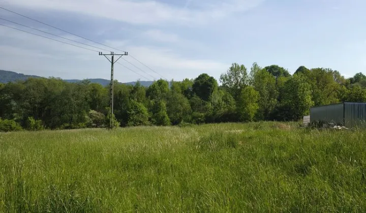 Działka budowlana Radziechowy, ul. Modrzewiowa