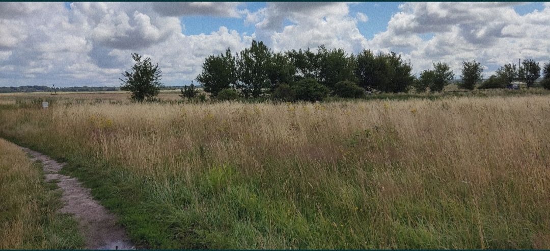 Działka budowlana Pobierowo, ul. Wojska Polskiego. Zdjęcie 4