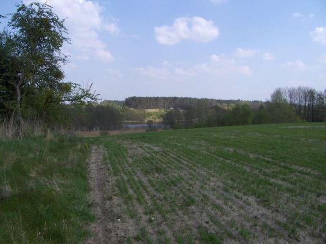 Działka rolno-budowlana Nienawiszcz. Zdjęcie 1