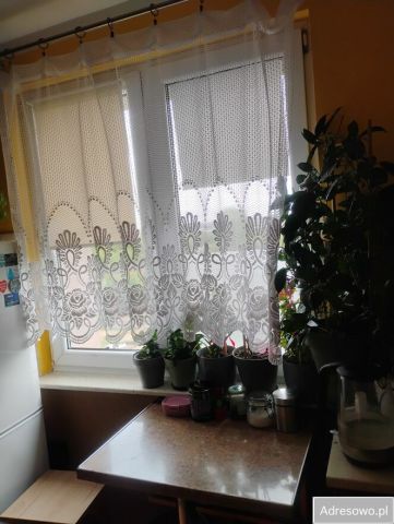 Mieszkanie 1-pokojowe Zambrów, ul. Grunwaldzka. Zdjęcie 1