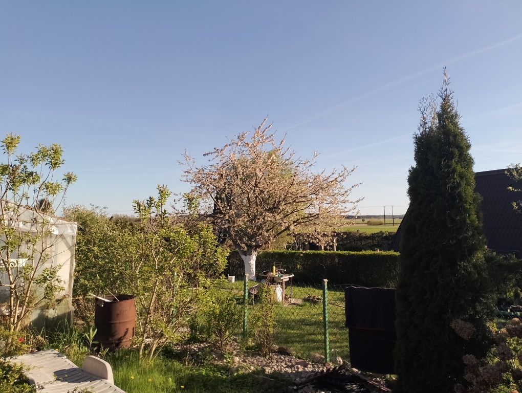 Działka rod Darłowo Centrum. Zdjęcie 4