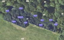 Działka leśna Izdebki. Zdjęcie 1