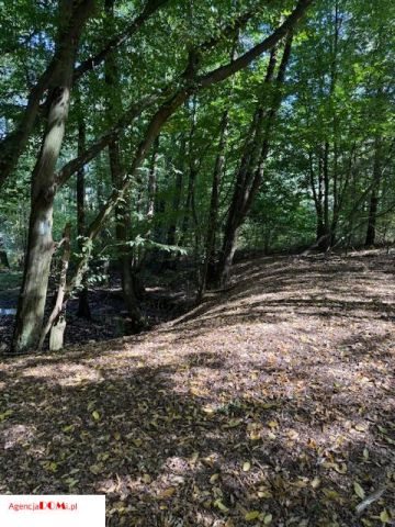 Działka budowlana Siestrzeń. Zdjęcie 10