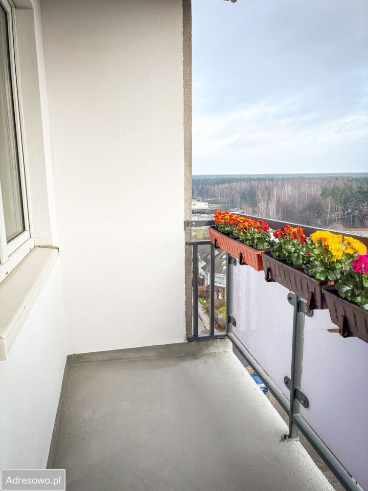 Mieszkanie 2-pokojowe Zielona Góra Centrum, ul. Osiedle Pomorskie. Zdjęcie 15