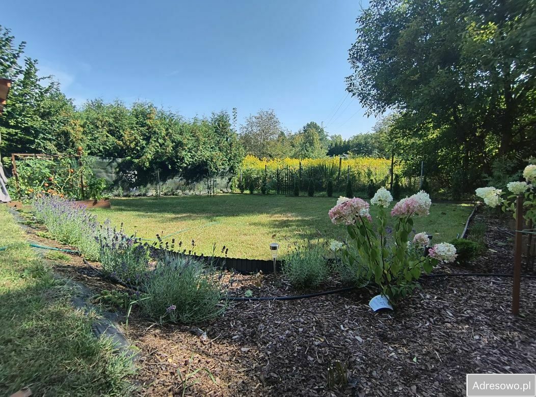 Działka rod Będzin. Zdjęcie 6