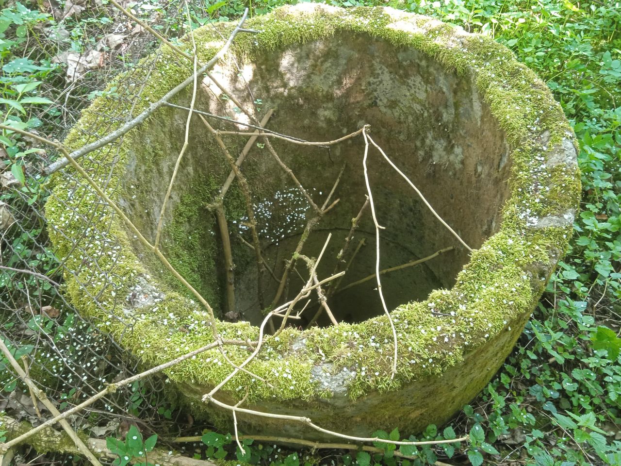 Działka rolna Młynne. Zdjęcie 4